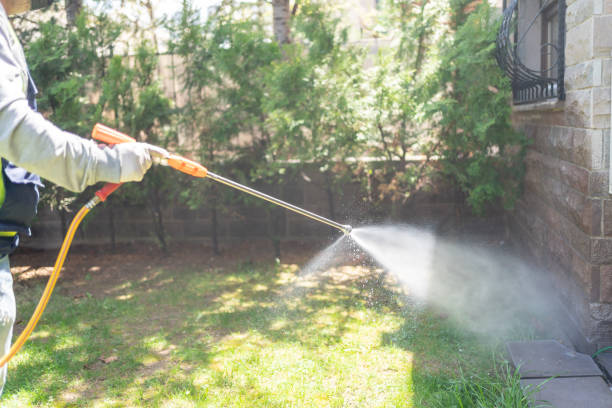 Lawn Pest Control in Nyssa, OR